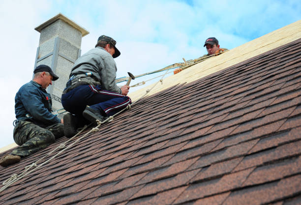Residential Roof Replacement in Peotone, IL