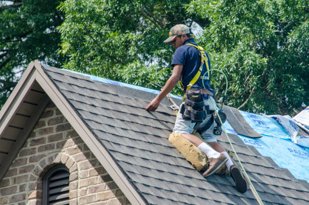 Professional Roofing Contractor in Peotone, IL
